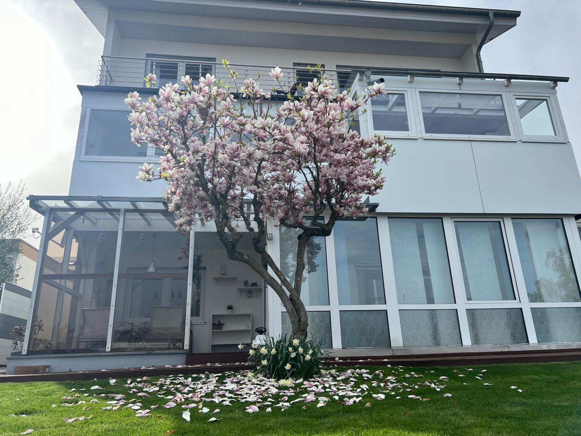 Ferienwohnung Schwarzwald Lodge Schömberg Εξωτερικό φωτογραφία